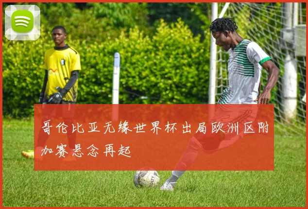 哥伦比亚无缘世界杯出局欧洲区附加赛悬念再起