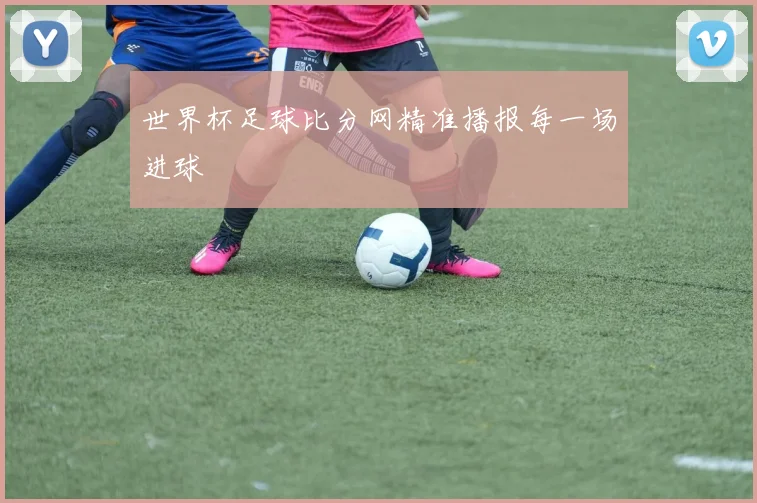 世界杯足球比分网精准播报每一场进球