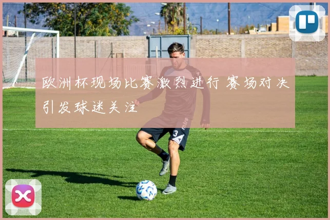 欧洲杯现场比赛激烈进行 赛场对决引发球迷关注