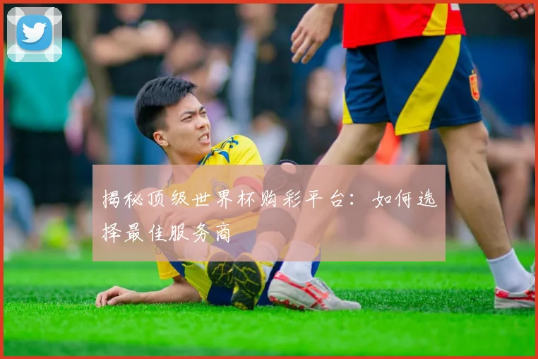 揭秘顶级世界杯购彩平台:如何选择最佳服务商