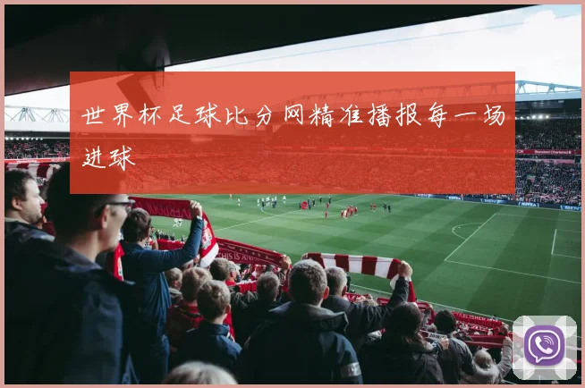 世界杯足球比分网精准播报每一场进球