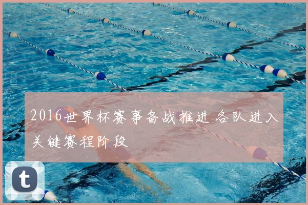2016世界杯赛事备战推进 各队进入关键赛程阶段